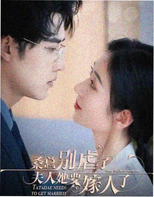 无声辩护剧集海报